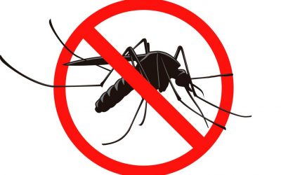 Obavijest o četvrtoj adulticidnoj dezinsekciji komaraca na području grada Karlovca u 2021. godini